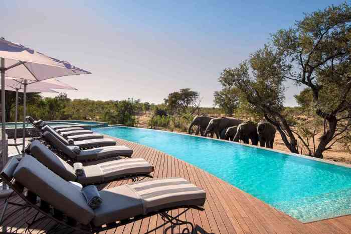 The 10 Best Safari Lodges in Africa